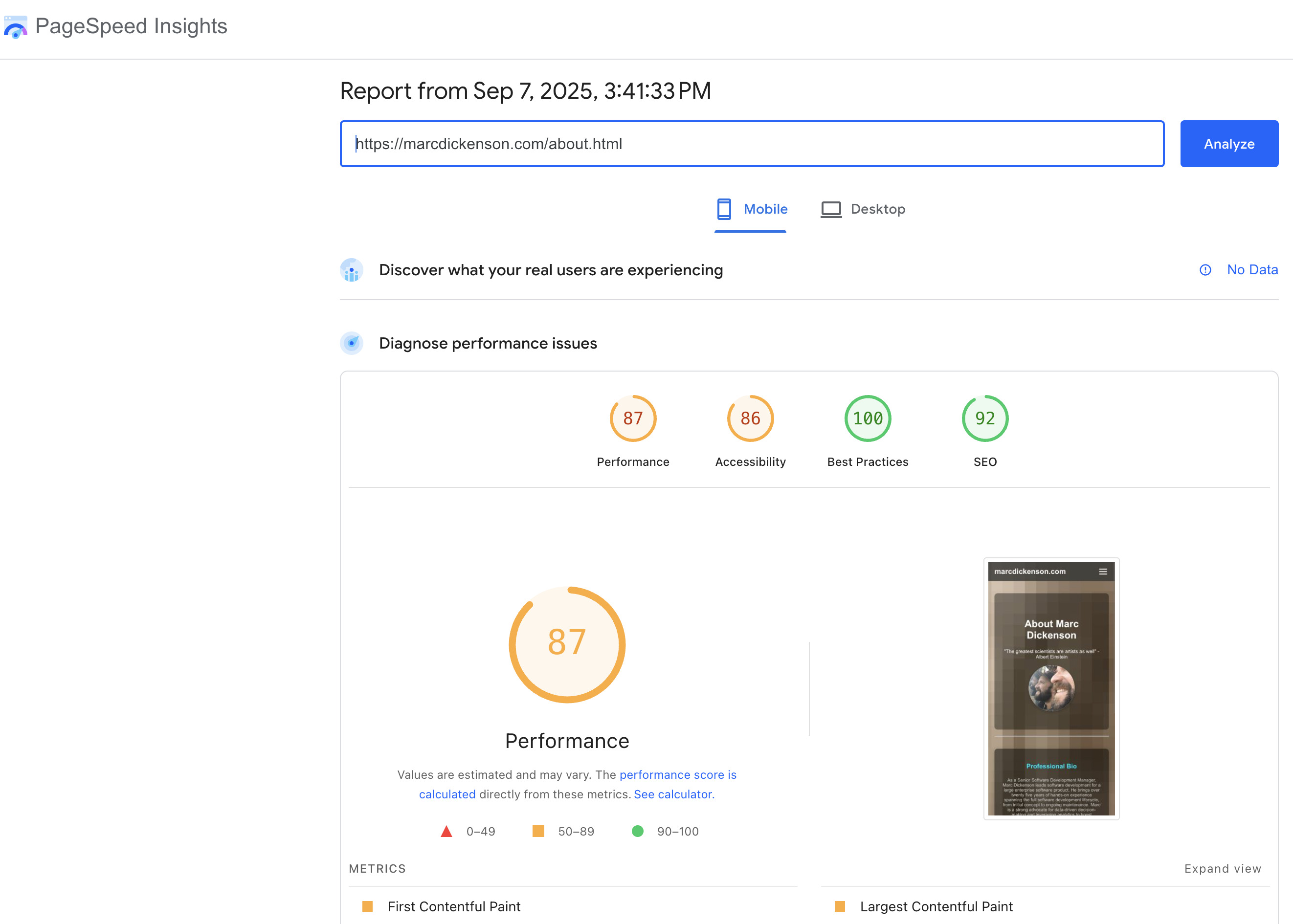 PageSpeed Insights reveals website performance on mobile.
