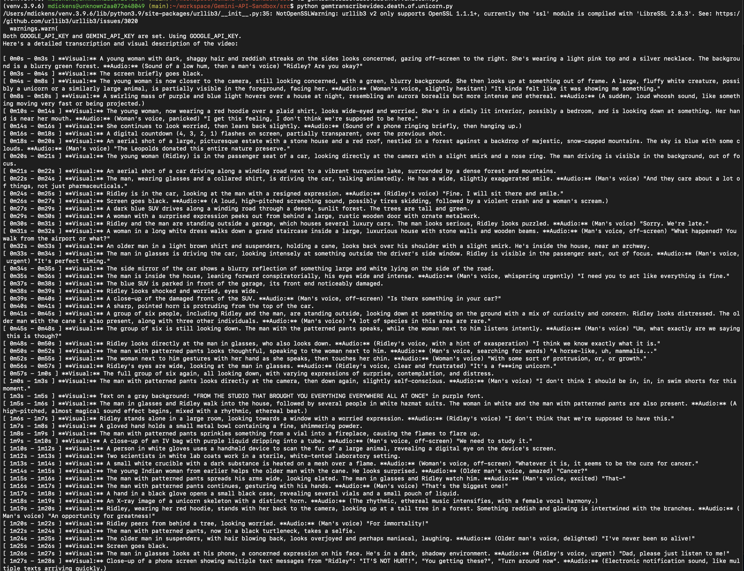 Code processing video, describing scenes, audio, and dialogue.
