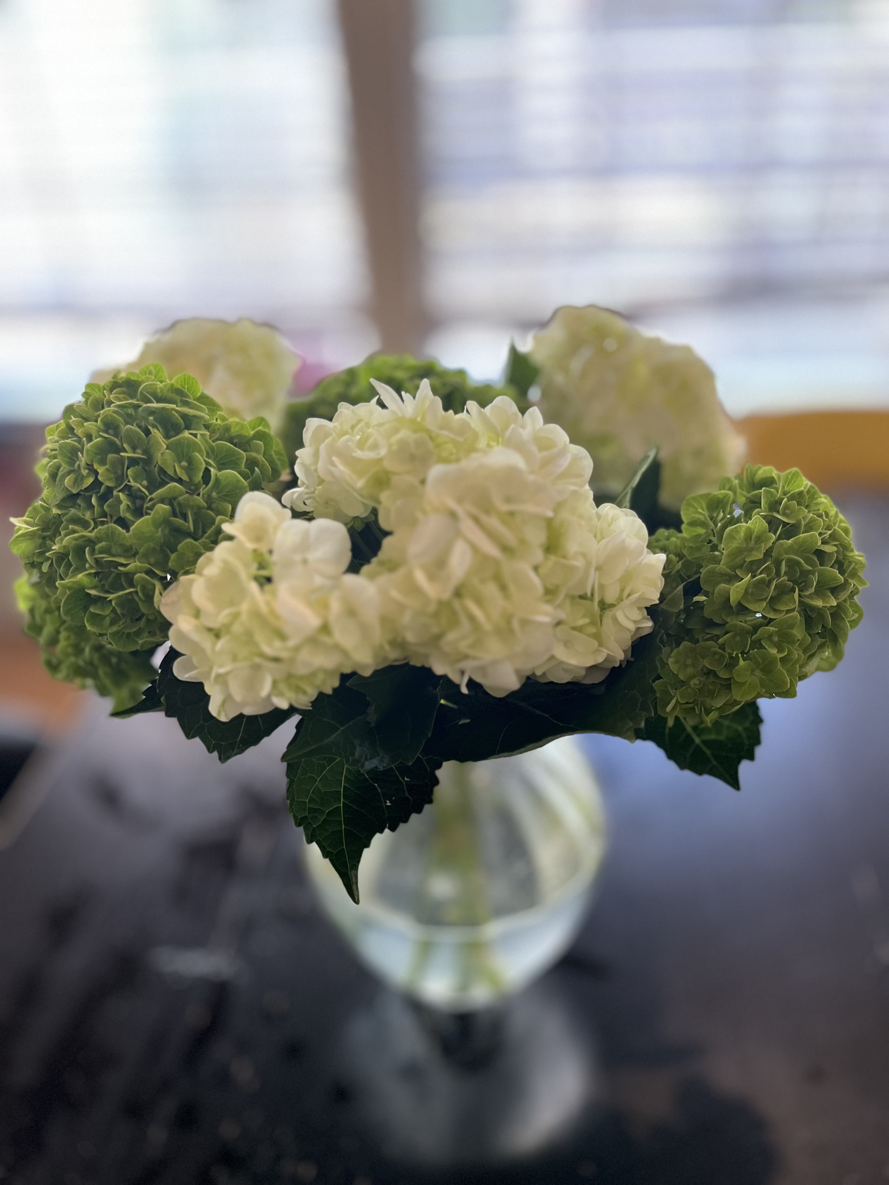 Hydrangea hues, a delightful bouquet to brighten any day.